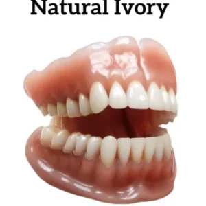NESLEMY™ Advanced Customized Full Denture Set