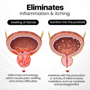 LOVILDS™ ProstaAir Dual-Function Nasal Inhaler image LOVILDS™ ProstaAir Dual-Function Nasal Inhaler
