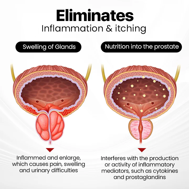 LOVILDS™ ProstaAir Dual-Function Nasal Inhaler image LOVILDS™ ProstaAir Dual-Function Nasal Inhaler