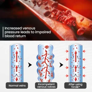 Czticle® Leg Vein Magnet Ankle Bracelet image Czticle® Leg Vein Magnet Ankle Bracelet