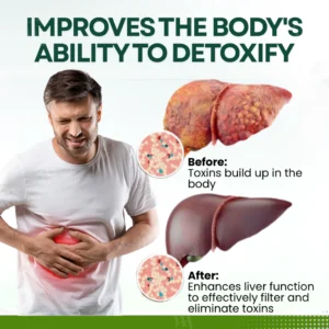 AEXZR® Lipo-Sorb Nightly Liver Detox Patch image AEXZR® Lipo-Sorb Nightly Liver Detox Patch