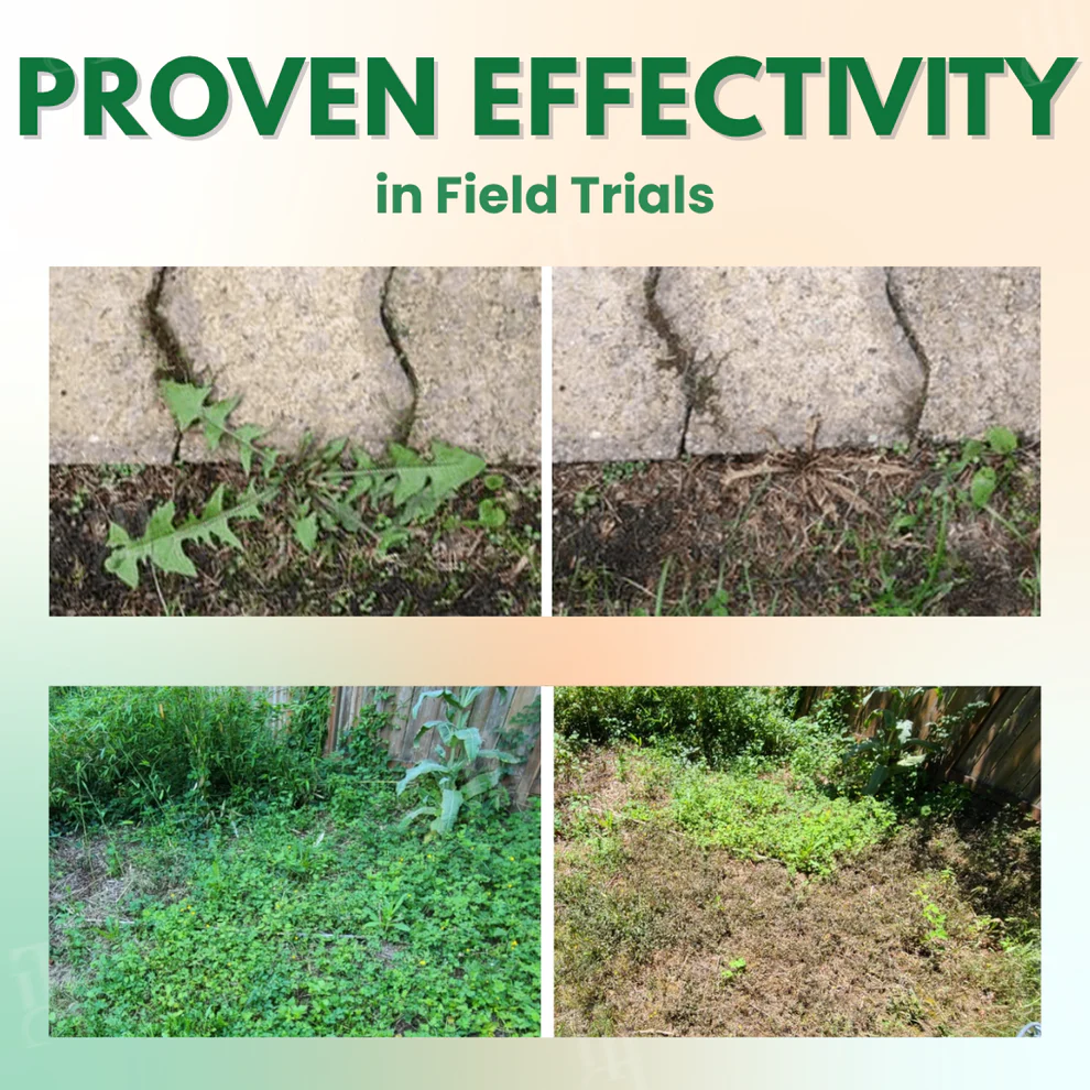 AEXZR® 5 in 1 Max Power Herbicide image AEXZR® 5 in 1 Max Power Herbicide