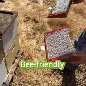 Zvoevo® BeeDerm RX Cream, Painless, Targeted Treatment image Zvoevo® BeeDerm RX Cream, Painless, Targeted Treatment