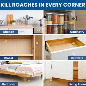 AEXZR® Roach Busters Cockroach Temptation Bait