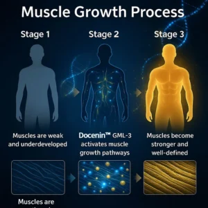 Docenin™ GML-3 Six-in-One Muscle Growth Oral Solution