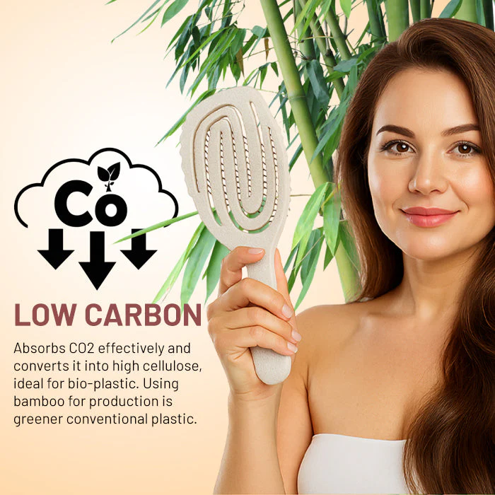 AEXZR® Density Rebirth Hair Brush image AEXZR® Density Rebirth Hair Brush