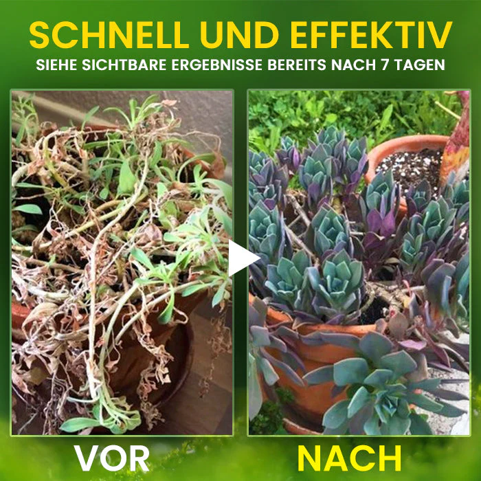 AEXZR® 2-in-1 Vita-Enzyme Solution image AEXZR® 2-in-1 Vita-Enzyme Solution