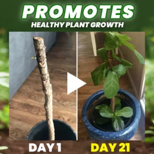 AAFQ® Organic Fertilizer Tablets